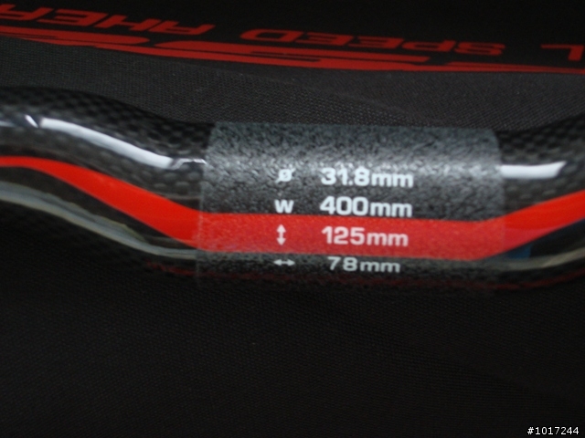 首次上台發表先來個 2009 FSA K-WING COMPACT HANDLEBAR & STEM的雙龍抱