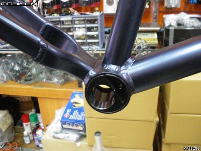 [分享]09年 SANTA CRUZ CHAMELEON 登山車車架