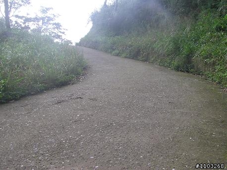 魯肉腳再戰   鵠鵠崙   2