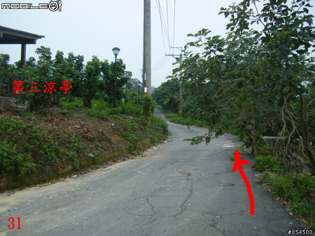 太平-後壁農路到牛角坑路線分享