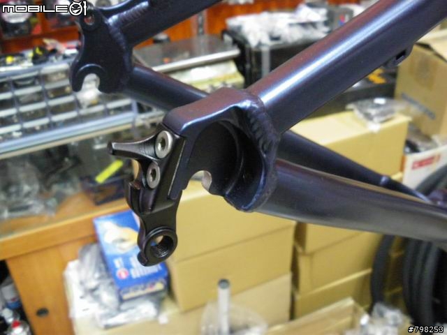 [分享]09年 SANTA CRUZ CHAMELEON 登山車車架