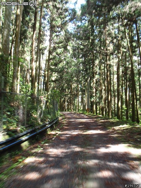 2008.10.10 千山我獨行之石山林道