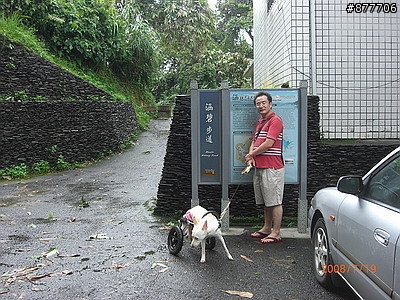 殘障犬白二兵日月潭消遙遊~
