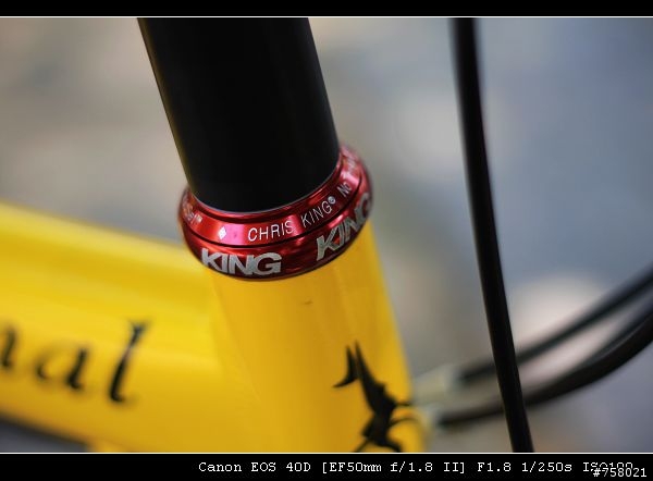 Airnimal Chameleon 一台值得推薦的好車----分享by bikeryoyo