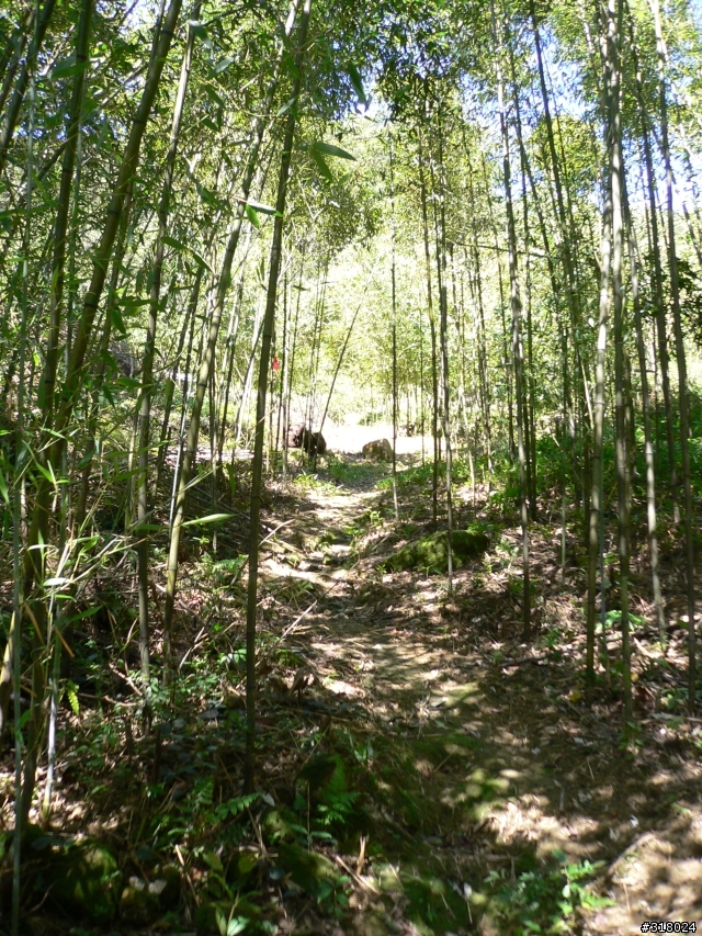 貓空新OFFROAD路線探路報告