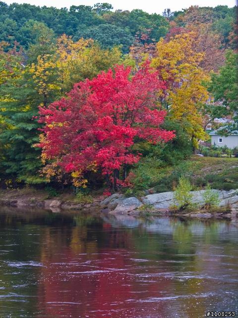 2008美東楓之旅---緬因州 (Acadia National Park)