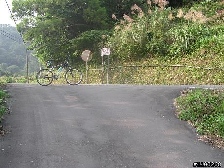 魯肉腳     再探    天溪園
