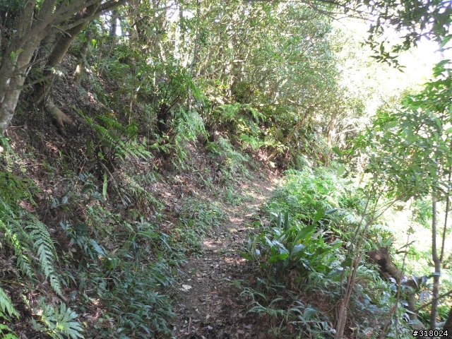 貓空新OFFROAD路線探路報告