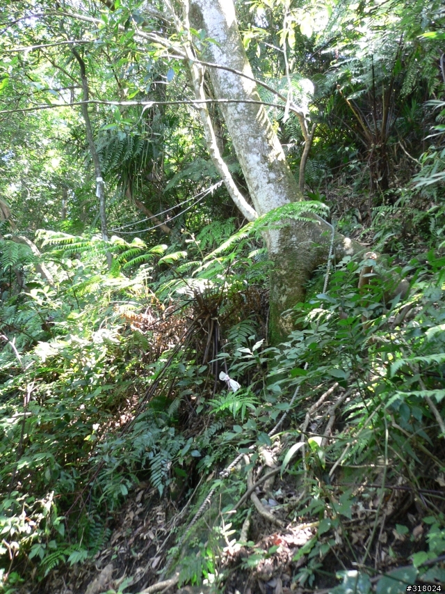 貓空新OFFROAD路線探路報告