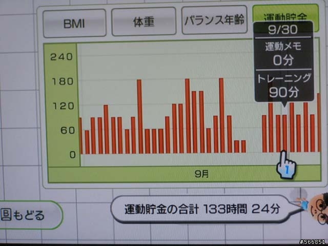 Wii FIT 個人使用心得