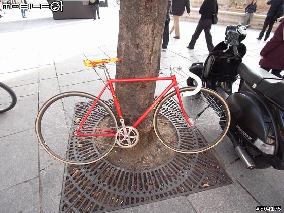 前幾天在巴黎隨拍的fixed gear