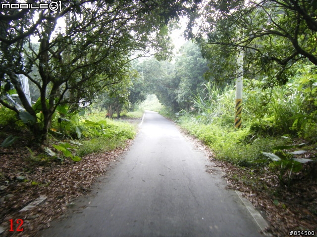 霧峰鄉山林縱騎 象鼻坑-峰谷-南坑-桐林分享