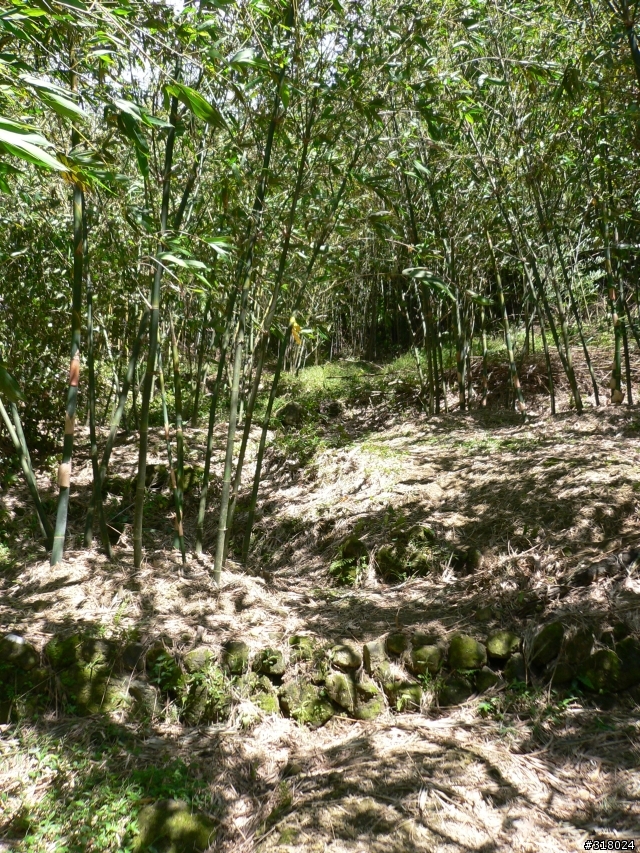 貓空新OFFROAD路線探路報告