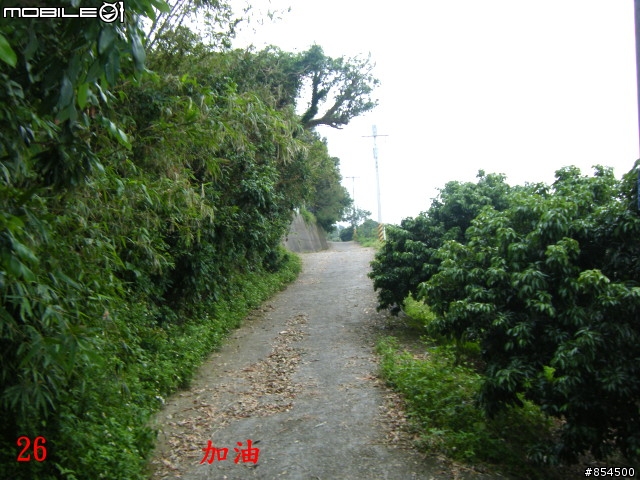 太平-後壁農路到牛角坑路線分享