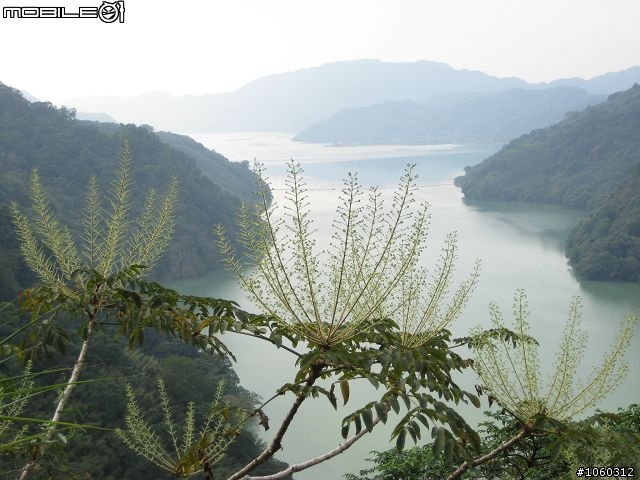 [遊記]自不量力--宇老大滿貫