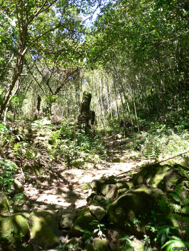 貓空新OFFROAD路線探路報告