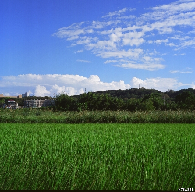 入手yashica MAT-124 6X6 TLR 相機試拍兩捲