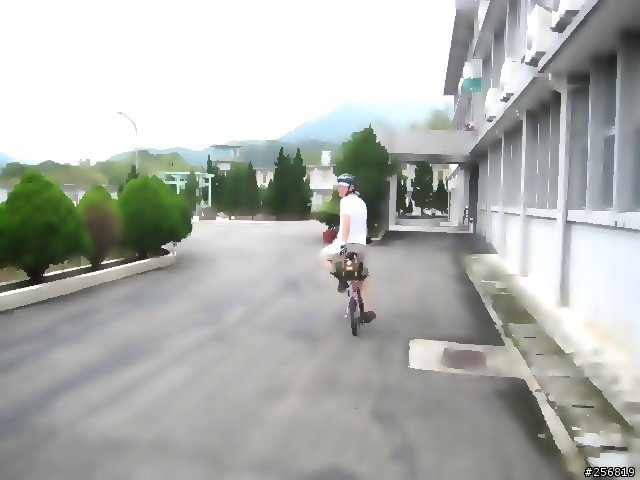 粉紅鳥遊坪林吃美食加河濱夜騎試拍