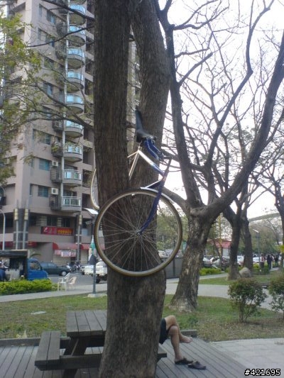 [分享]單車防盜--效果不錯