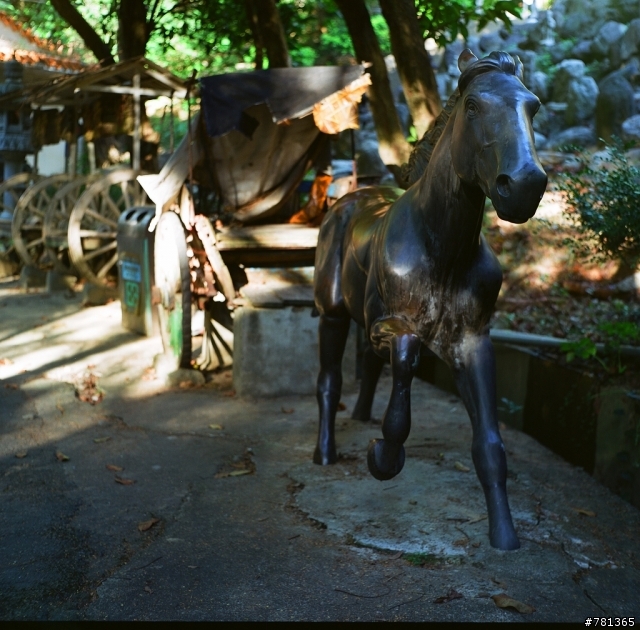 入手yashica MAT-124 6X6 TLR 相機試拍兩捲