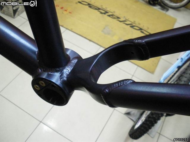 [分享]09年 SANTA CRUZ CHAMELEON 登山車車架