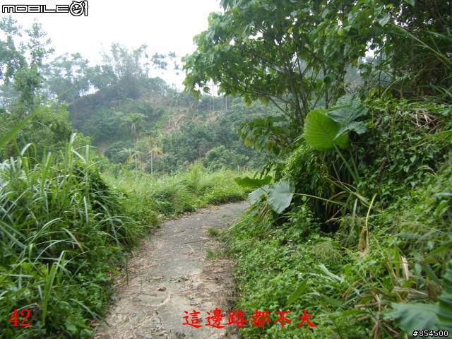 太平-後壁農路到牛角坑路線分享