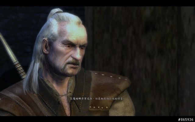 [PC]The Witcher enhanced edition[加強版]拆封分享心得