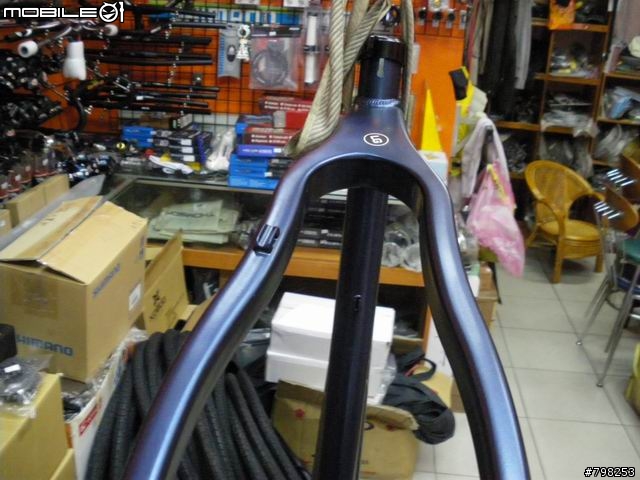 [分享]09年 SANTA CRUZ CHAMELEON 登山車車架