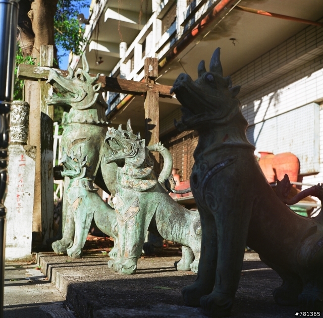 入手yashica MAT-124 6X6 TLR 相機試拍兩捲