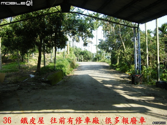霧峰鄉山林縱騎 象鼻坑-峰谷-南坑-桐林分享