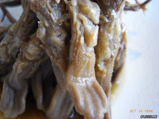 【北京美食】大董烤鴨