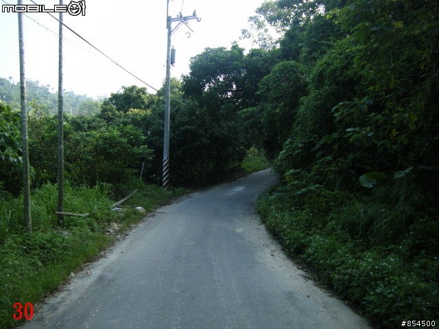 霧峰鄉山林縱騎 象鼻坑-峰谷-南坑-桐林分享
