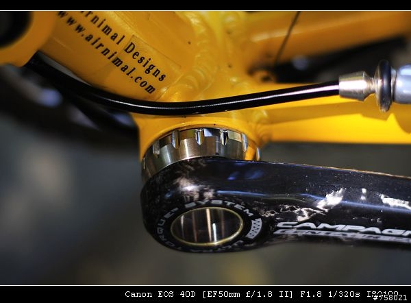 Airnimal Chameleon 一台值得推薦的好車----分享by bikeryoyo