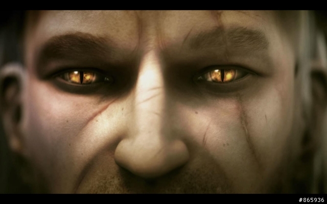 [PC]The Witcher enhanced edition[加強版]拆封分享心得