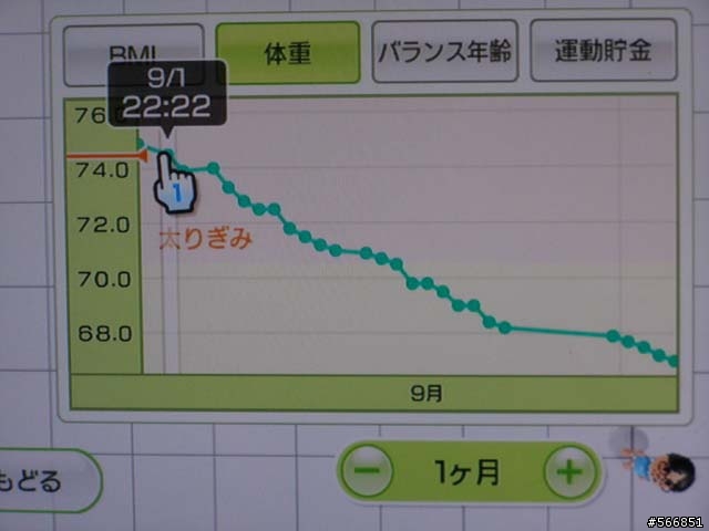 Wii FIT 個人使用心得
