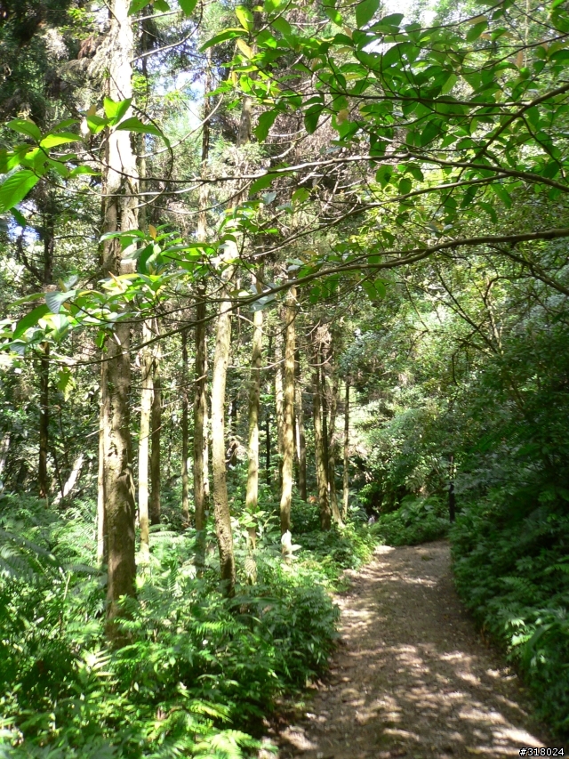 貓空新OFFROAD路線探路報告