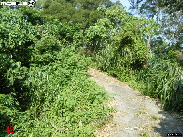 霧峰鄉山林縱騎 象鼻坑-峰谷-南坑-桐林分享