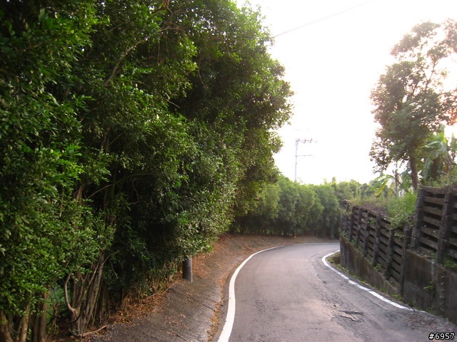 [路況分析] 預跑苗栗遊山觀海、挑戰100