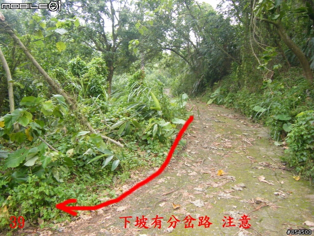 太平-後壁農路到牛角坑路線分享