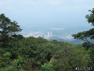 福隆便當的約定