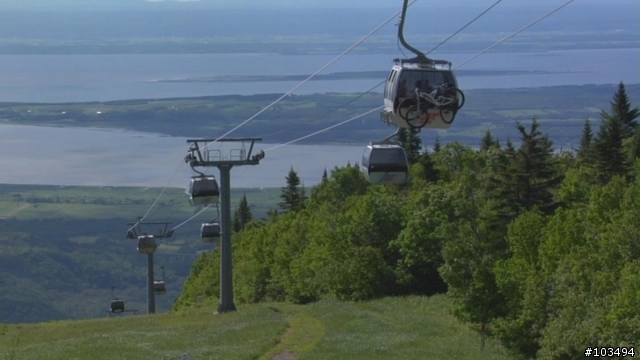 MTB DVD - S E A S O N S -A new film by The Collective