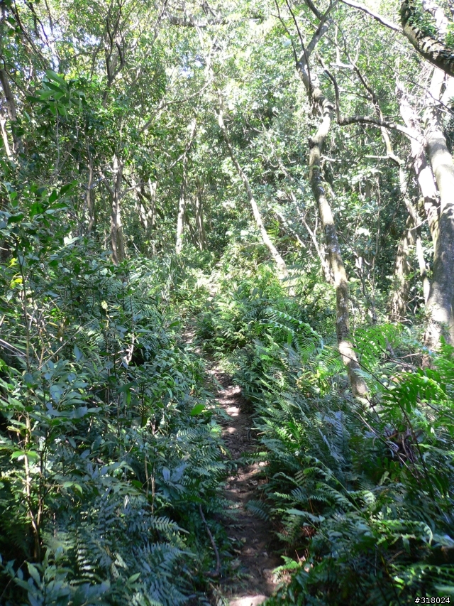 貓空新OFFROAD路線探路報告