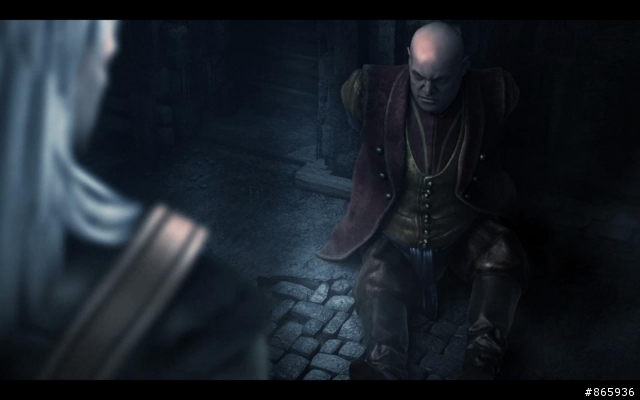 [PC]The Witcher enhanced edition[加強版]拆封分享心得