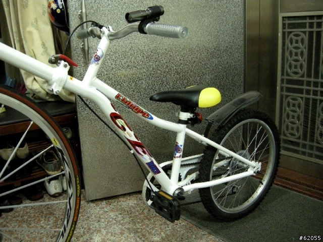 [分享]Cinalini master公路車~