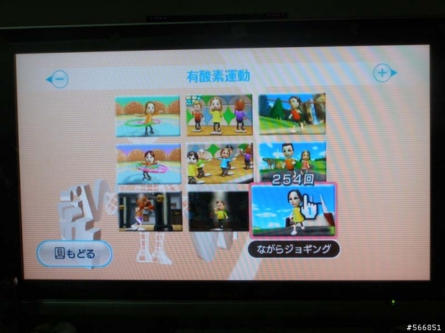 Wii FIT 個人使用心得