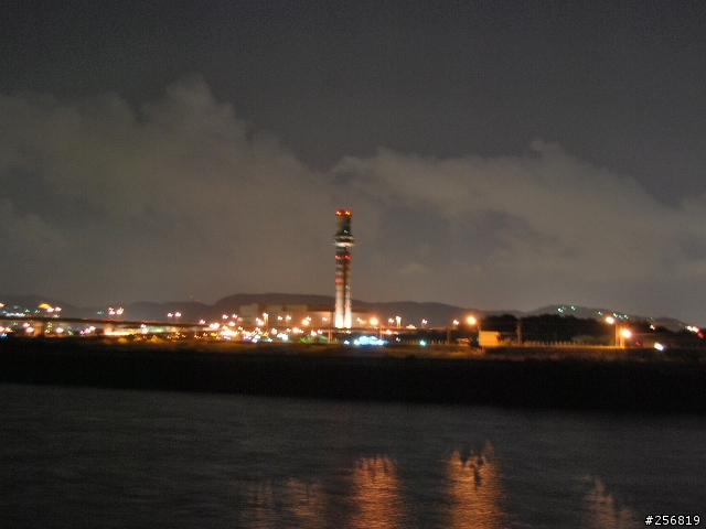 粉紅鳥遊坪林吃美食加河濱夜騎試拍