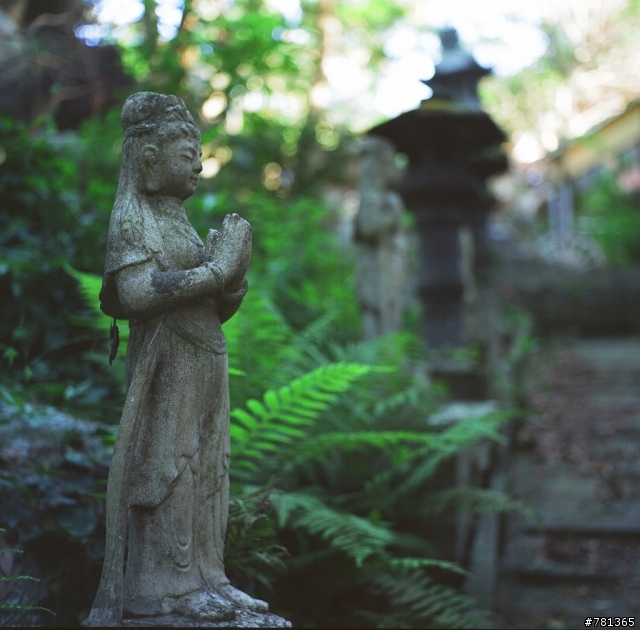 入手yashica MAT-124 6X6 TLR 相機試拍兩捲