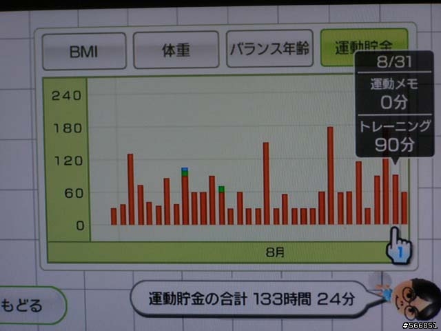 Wii FIT 個人使用心得
