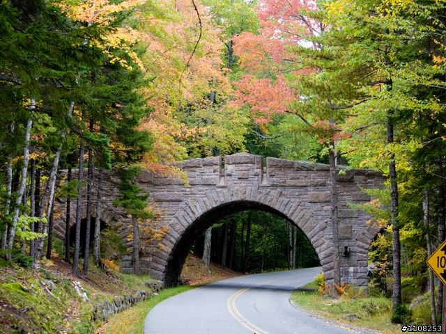 2008美東楓之旅---緬因州 (Acadia National Park)