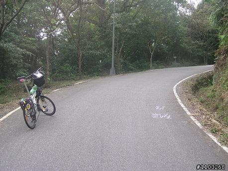 魯肉腳        早上阿柔洋+下午青春嶺路        初探